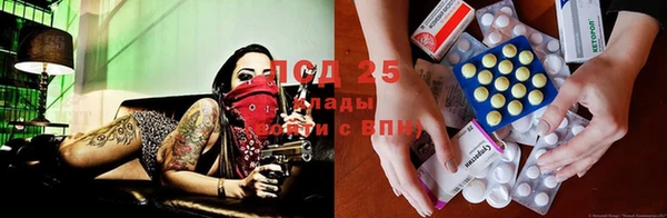 молекула духа Алзамай