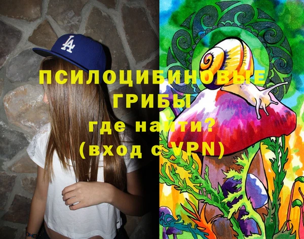 молекула духа Алзамай